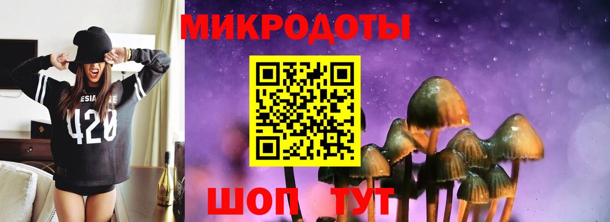 Галлюциногенные грибы MAGIC MUSHROOMS  Псилоцибиновые грибы Psilocybe  Вход с VPN  Жигулёвск 